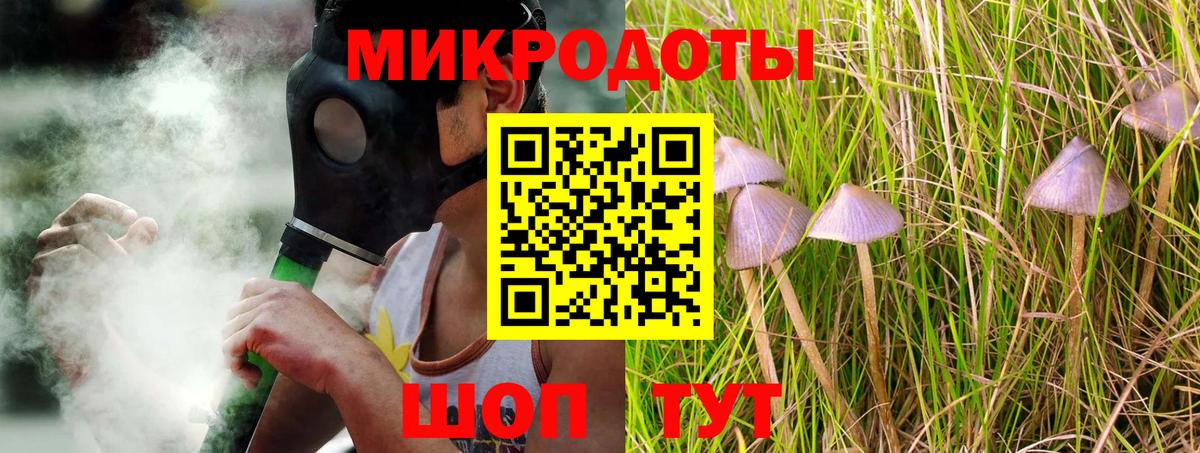 хочу наркоту  Вход с VPN  Ростов Великий  Псилоцибиновые грибы Psilocybe 